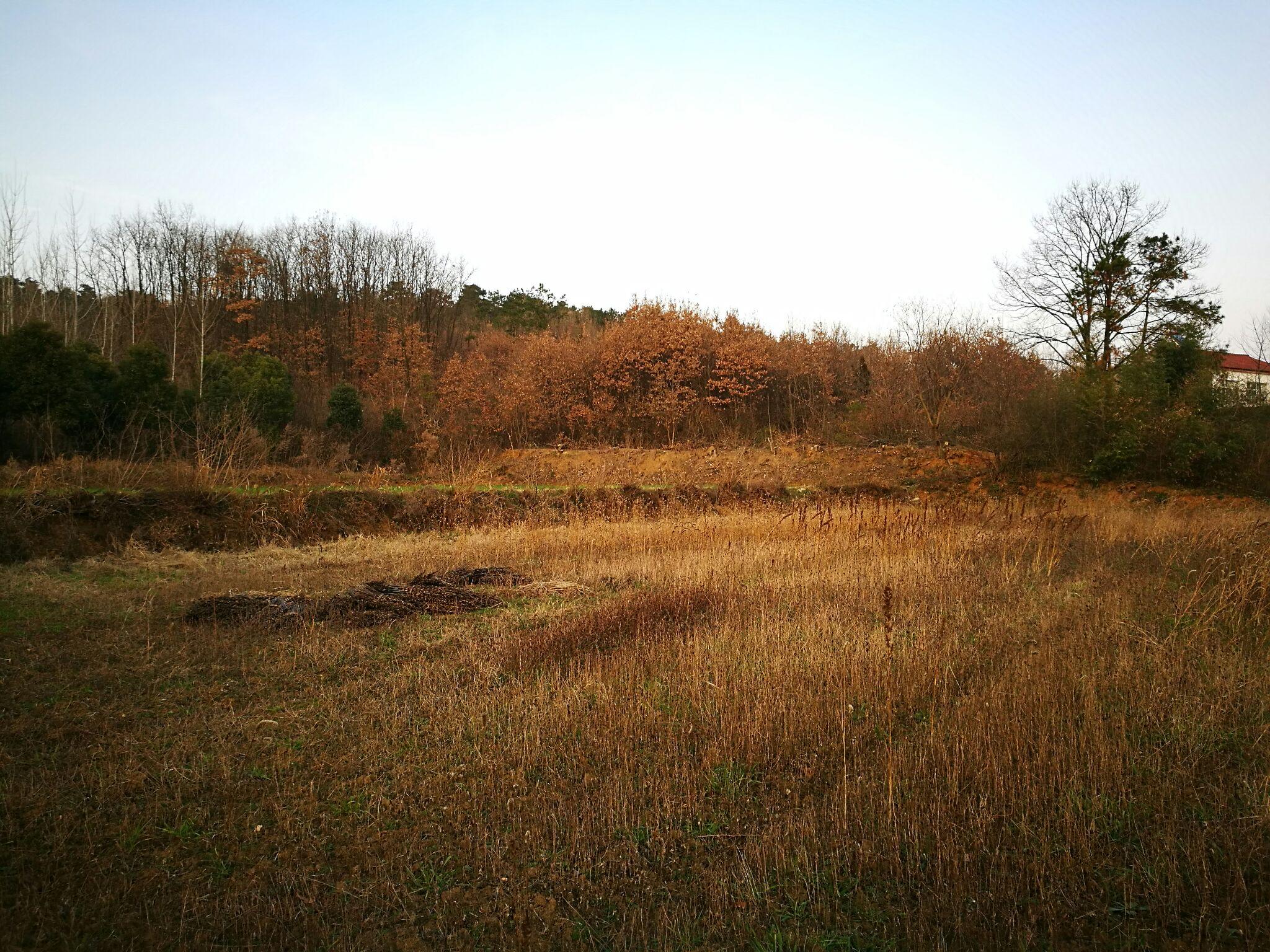 华为徕卡双镜头拍出来的 德味 体现在哪里?