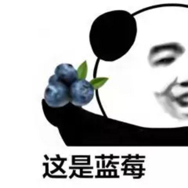 不想上班的发疯表情包