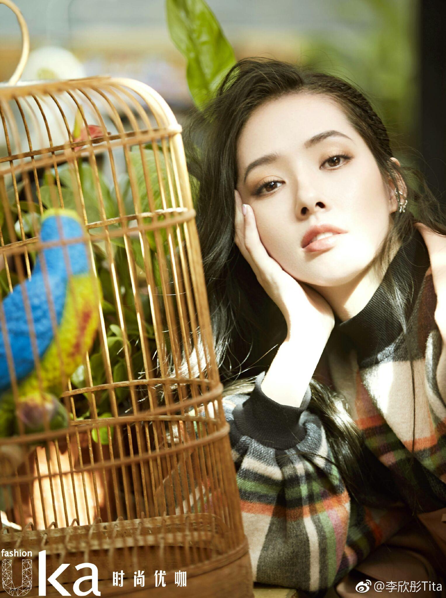 抛开气质光凭长相你认为最美的女明星是谁