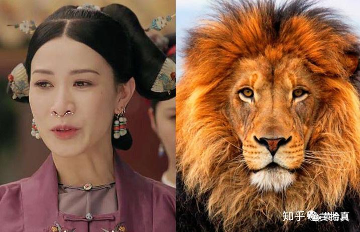 有外科医生说像狮子的鼻,所以叫狮鼻.