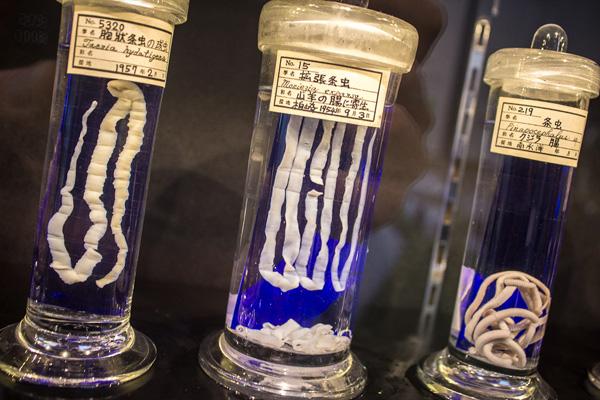 3. 日本目黑寄生虫学博物馆