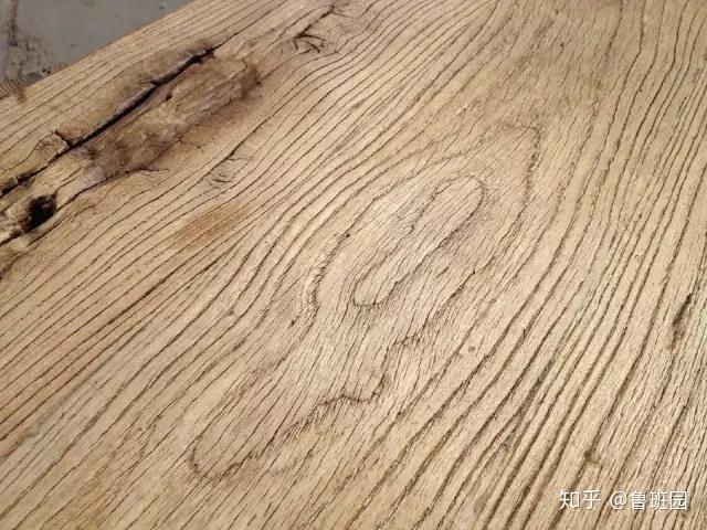都知道榆木疙瘩可是真正了解榆木吗