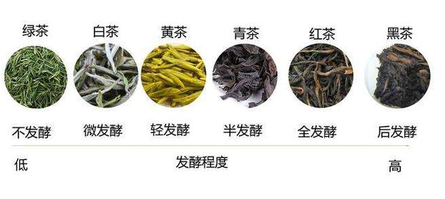 和100个茶老板合作过 终于明白中国为啥花2亿多进口印度茶叶了 知乎 和100个茶老板合作过 终于明白中国为啥花2亿多进口印度茶叶了 知乎