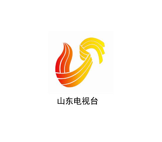山东电视台 logo图片