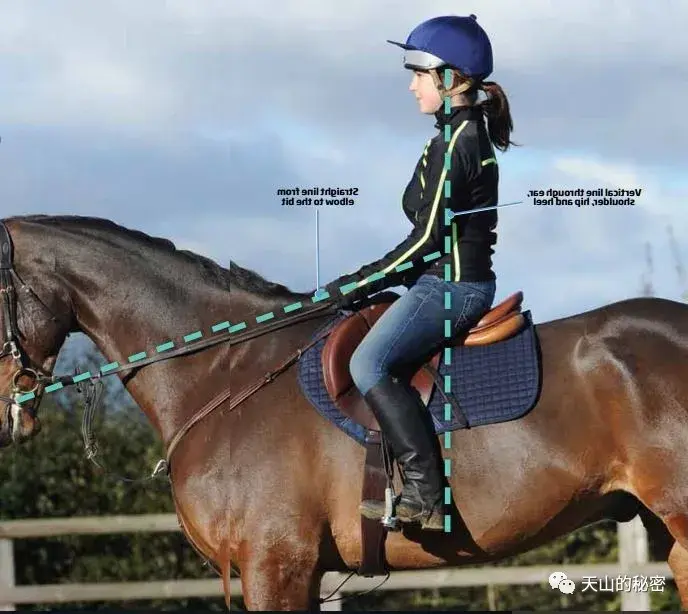 骑马正确的坐姿是怎样的