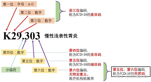Icd 10 和icd O 3到底是什么 如何利用二者指导恶性肿瘤的理赔 知乎