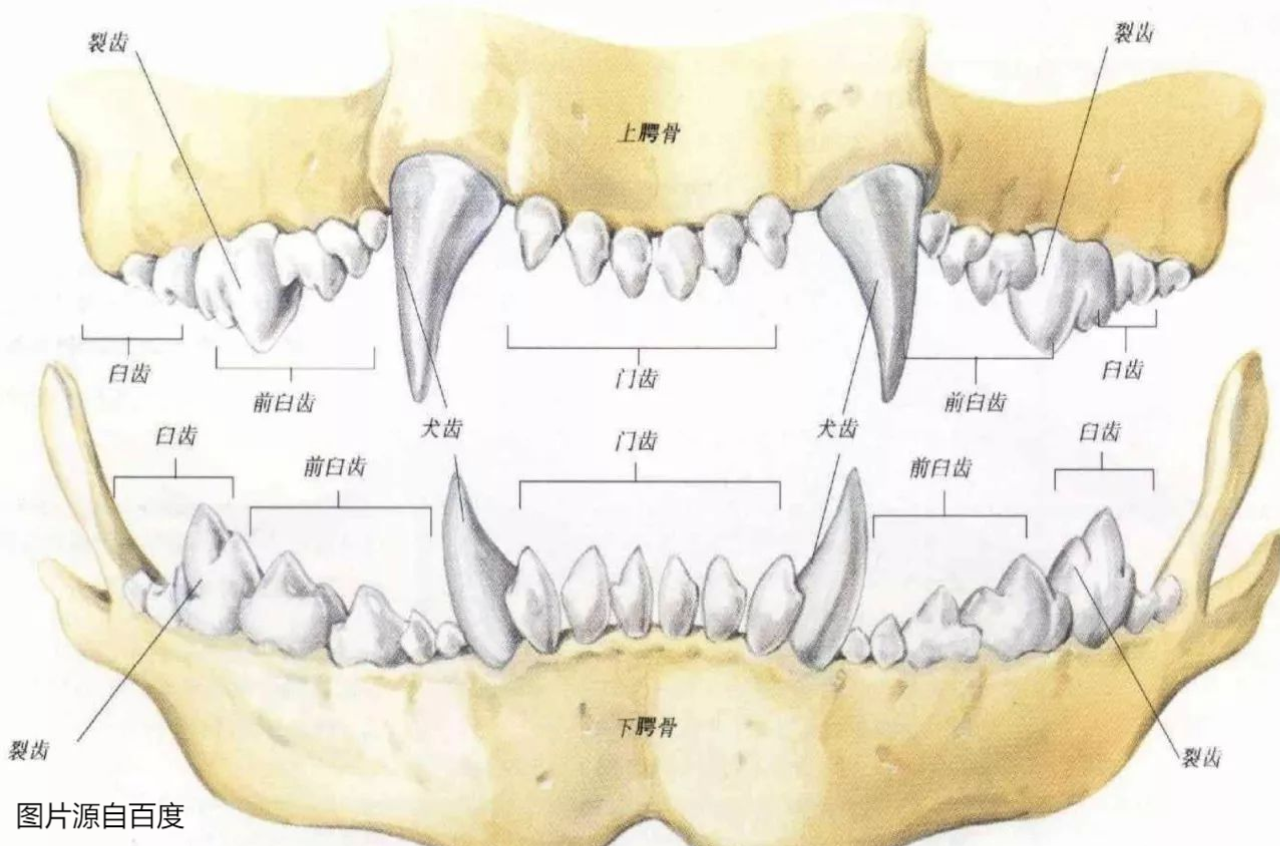 v2-c46d046f62690baca47d4ed5a5bef504_r.jpg