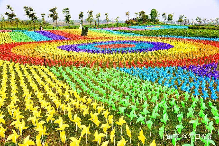 图集洪湖金湾花海的风车景观先看图再去逛景