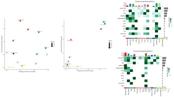 细胞互作 - 知乎