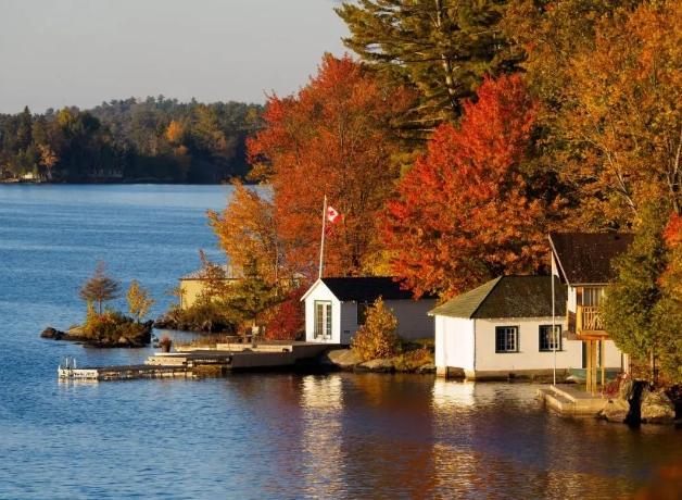 加拿大移民政策动向!新增2项,转变1项!