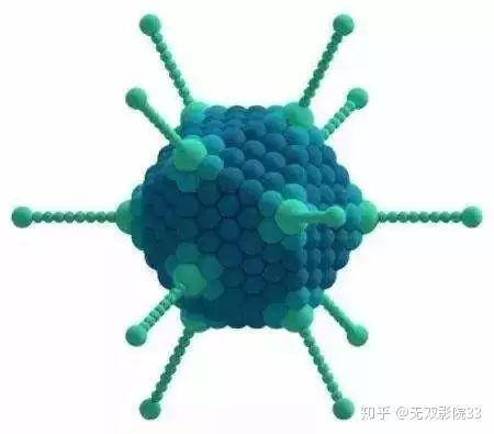 《绝对好奇:细胞战场》bbc纪录片讲述病毒入侵人体全过程,看完忍不住