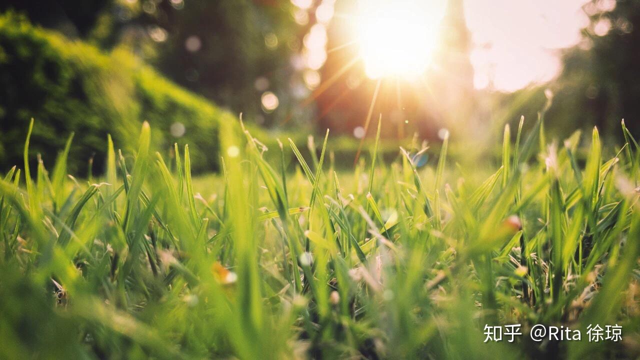 v2-c48f18f2d119f1e965df4c7984f8c1ac_r.jpg