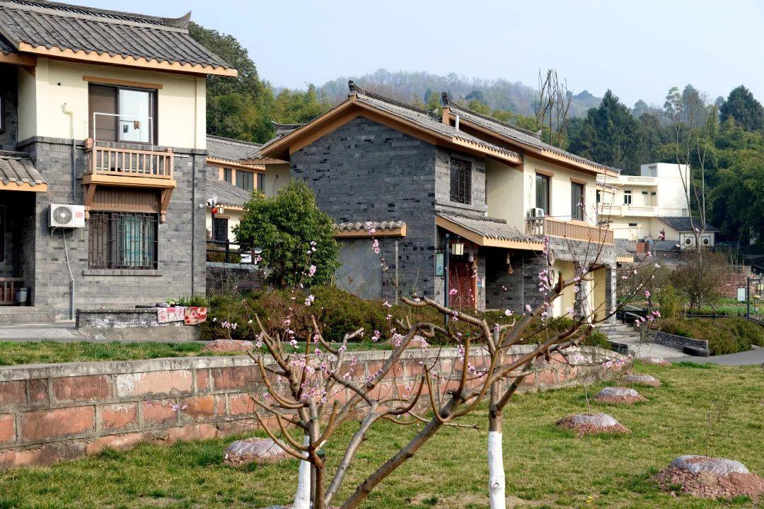 国家政策扶持住在金堂这里的人太令人羡慕了