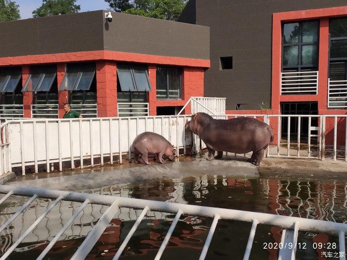 天津動物園門票(天津動物園攻略天津動物園門票)