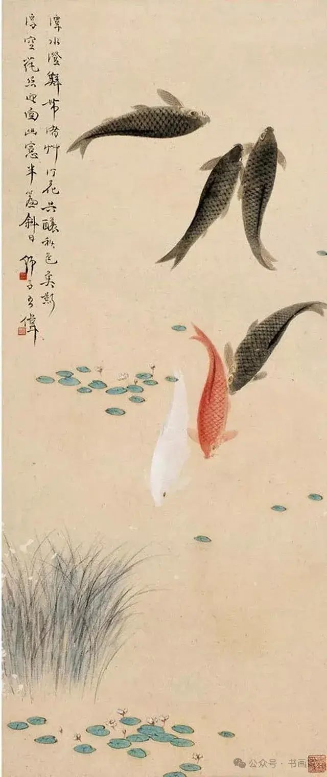 王师子笔下的鲤鱼！ - 知乎