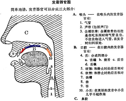 弹舌原理图解图片