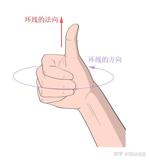什么是向量 - 知乎