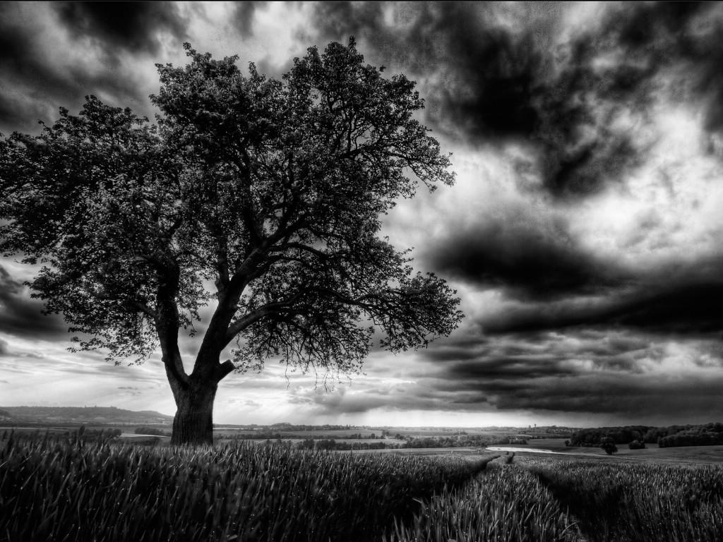 塔罗复合旧爱在心难断其情与前任相见矛盾随风而去