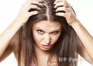 v2-c4cd7546d54b3b43053f89429db5040b_b.jpg