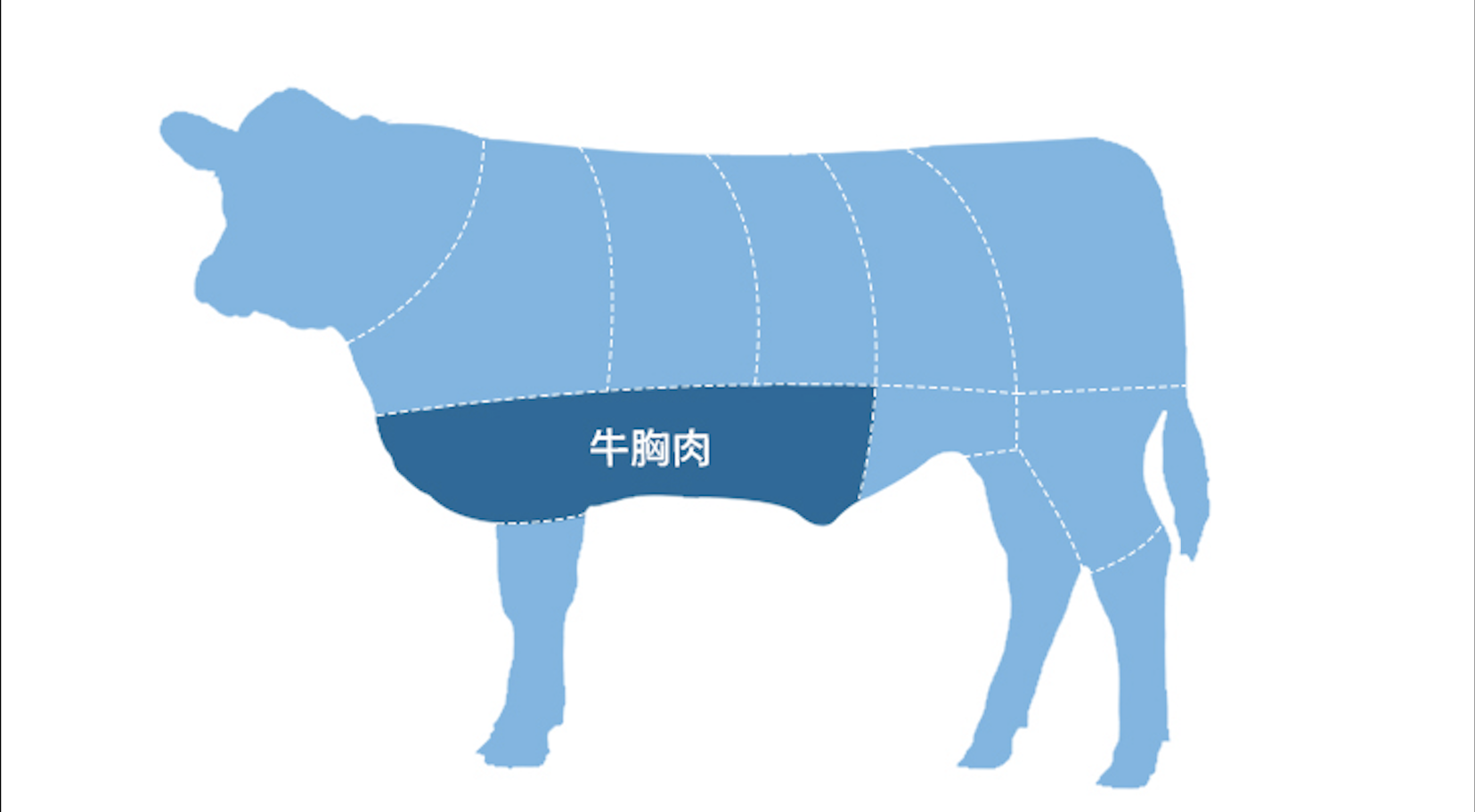 牛腩是属于牛的内脏还是牛肉,如果是牛的肉,和牛肉有什么区别?