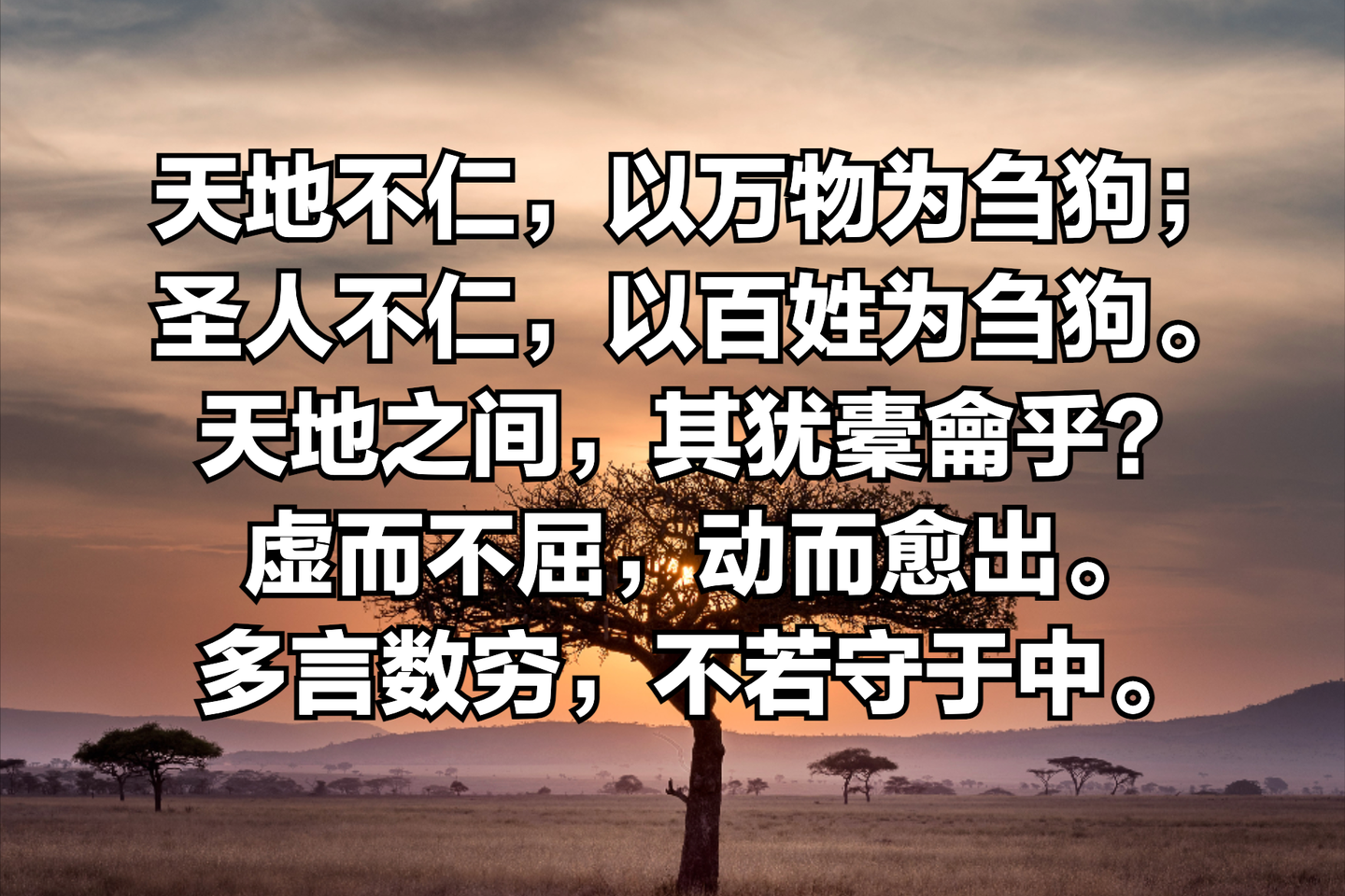 理解《道德经》第五章-天地不仁,以万物为刍狗 - 知乎