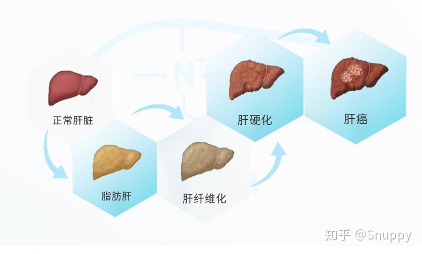 最伤肝的水果_吃水果对肝好_水果对肝脏有好处吗