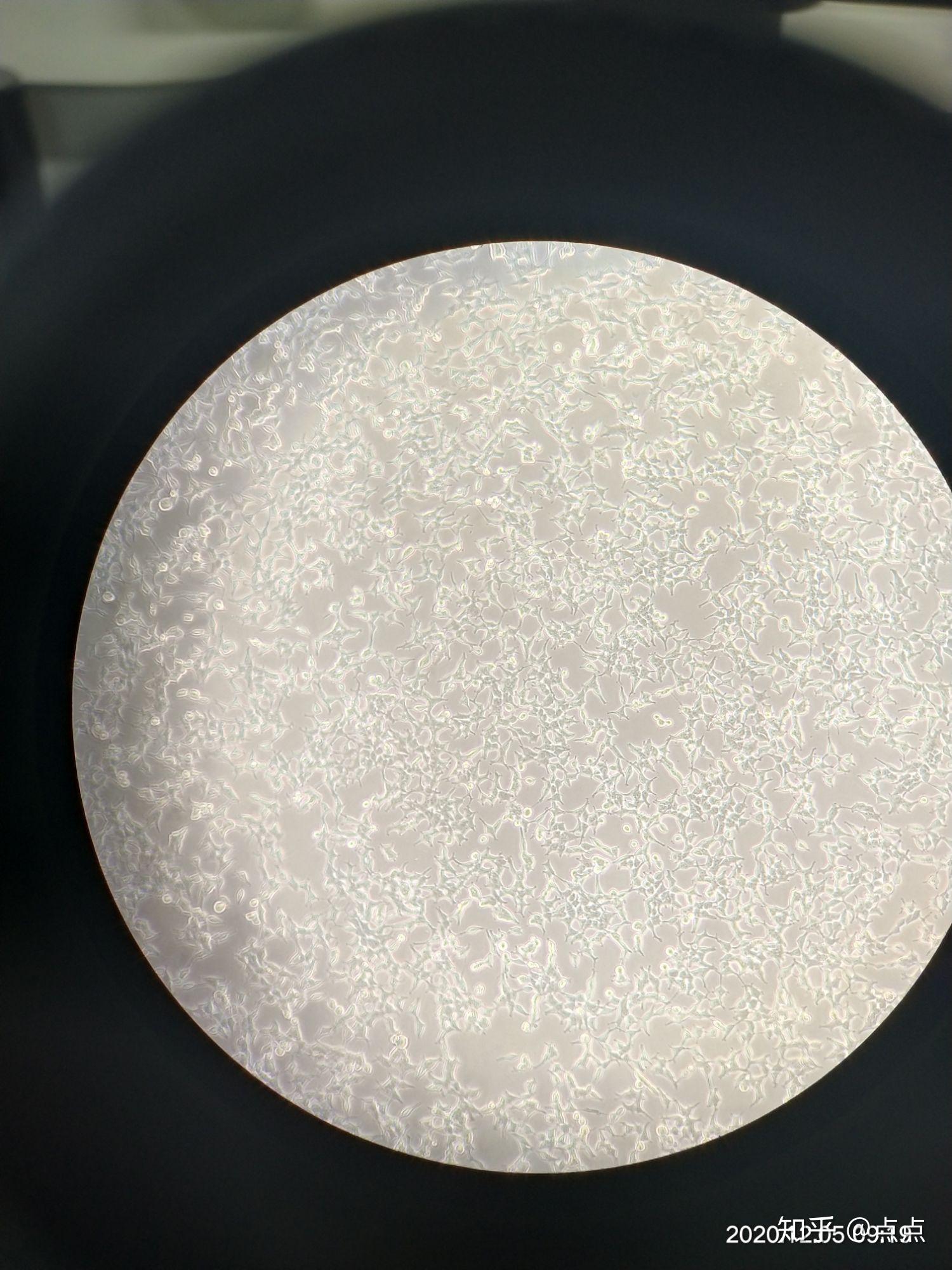 293t什么状态正常