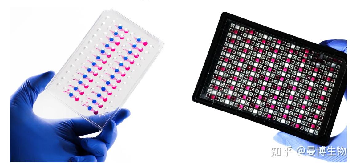 探寻小分子创新风口曼博生物与您相约innoxbio2024