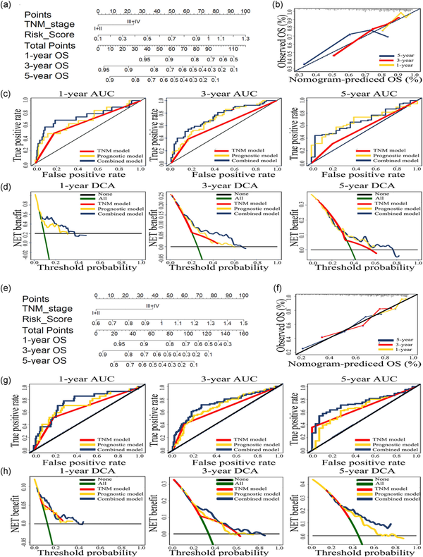 四个基因的能量代谢模型构建与验证，轻松发4分sci！ - 知乎