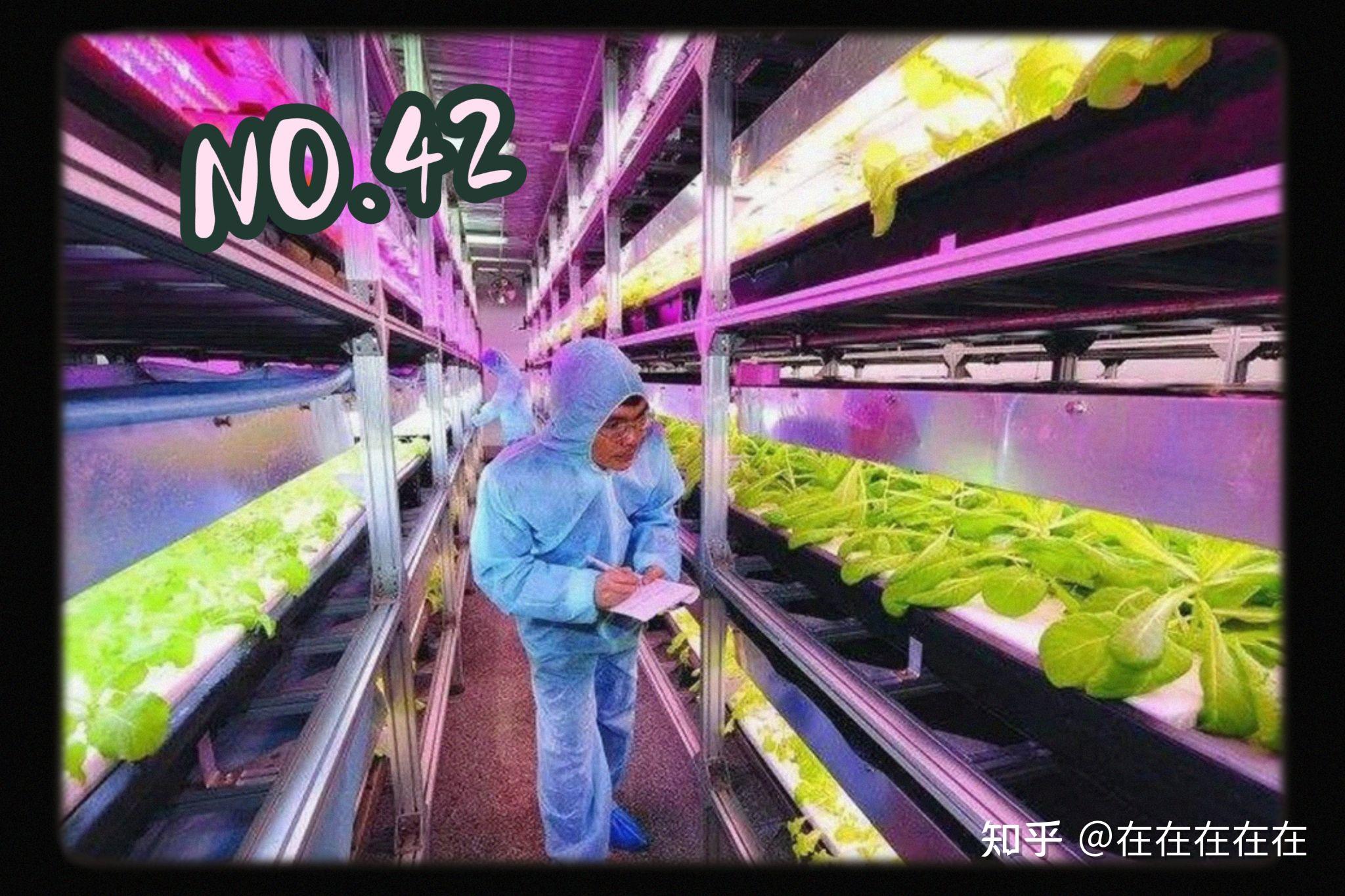 如何評價人類已經能在南極種菜下一步會在月球火星