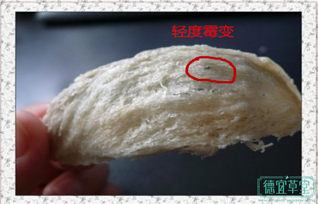 轻度发霉轻微的发霉(燕窝表面有少量灰黑/白色斑点,浮于燕窝表面),中