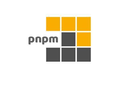 pnpm workspace monorepo