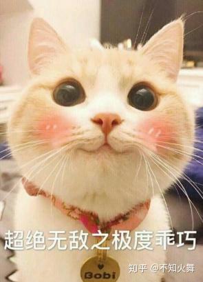 v2-c506d0ff7c7f16d963a235a29ea2b12c_b.jpg