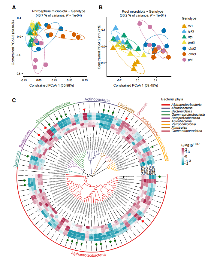 王二涛研究组揭示丛枝菌根共生与根瘤共生的协同进化机制 - 知乎