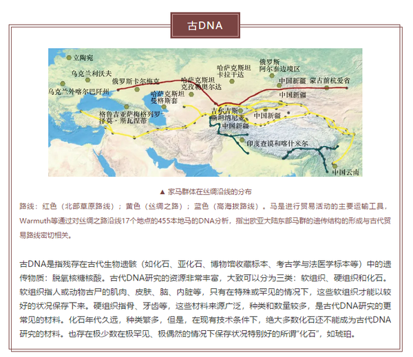 古DNA与中国家马起源研究: 汗血宝马引入时间的探讨 - 知乎