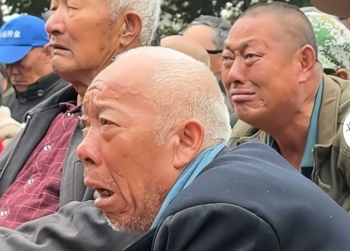 豫剧观众哭成「憋泪哥」，演员称有时自己出不了戏，传统戏曲为何能让人如此动容？