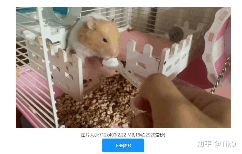 怎样把视频做成gif?一招教你视频转gif制作 - 知乎