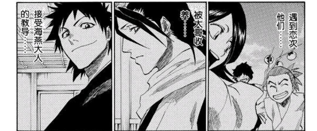 海燕,白哉,恋次,是主要讲述的问题.