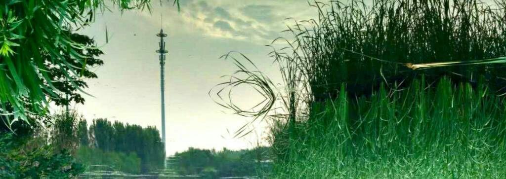 不 P 的差距究竟有多大? - 马拉的万花筒的回答