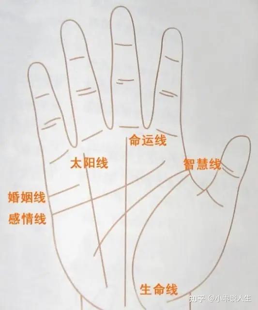手上的“纹”和“丘”代表什么？ - 知乎