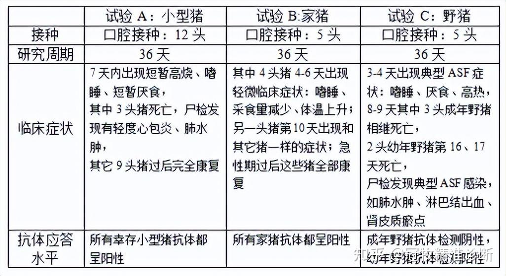 猪瘟治愈的最快方法图片