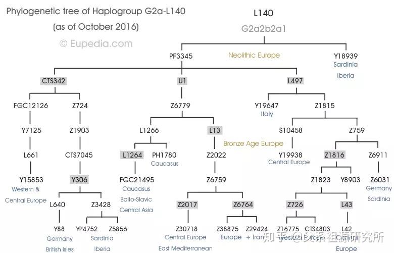 父系单倍群g2a