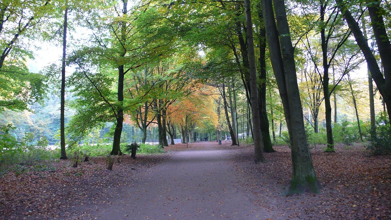 2. 美观耐寒首选