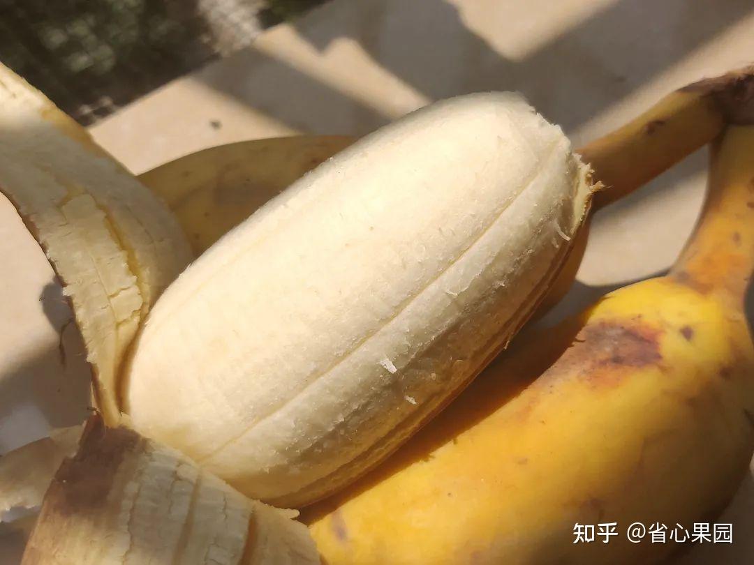 什么品种的香蕉最好吃