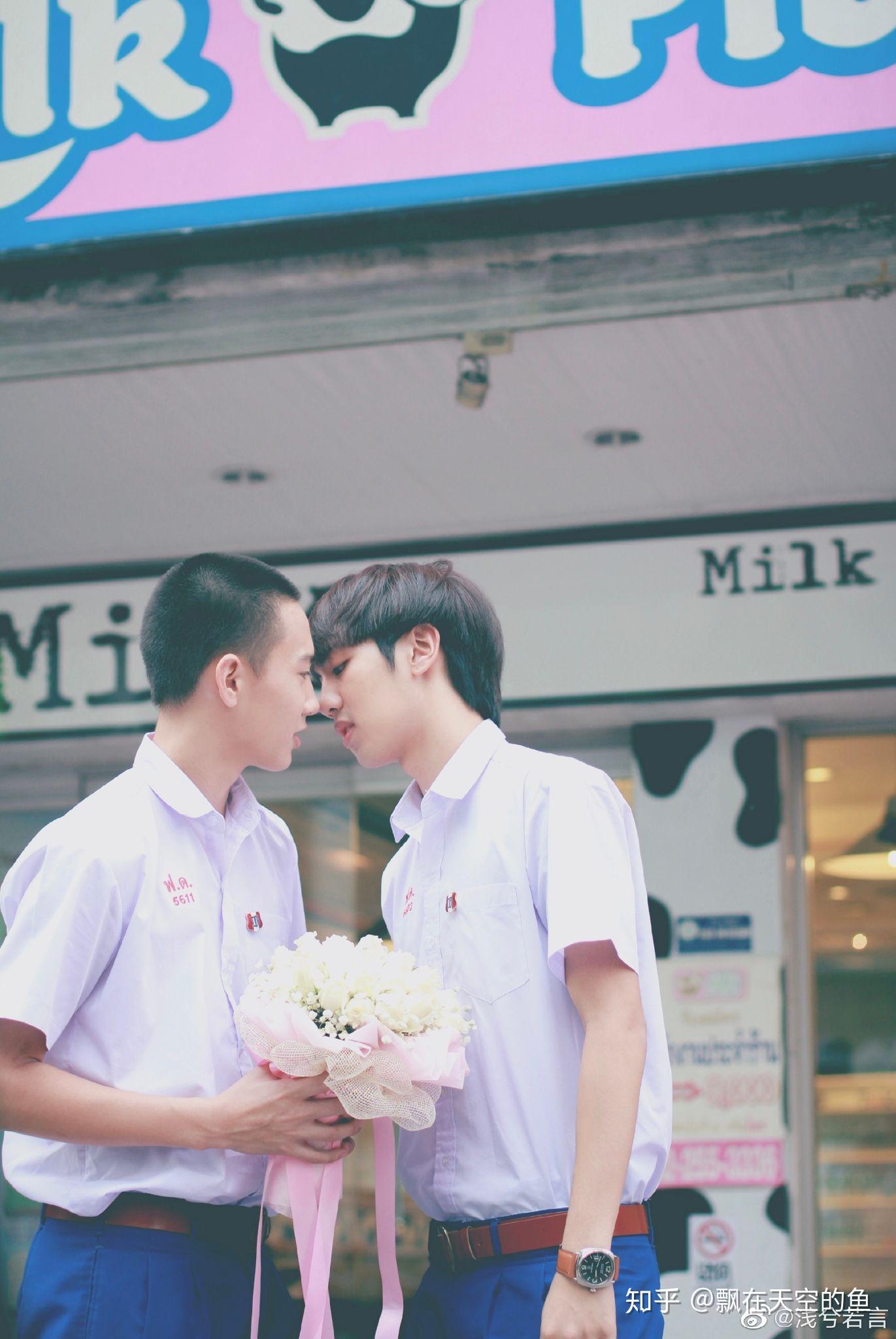 有什么好磕的cp