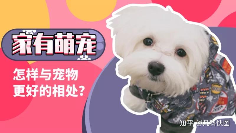 咋做视频封面 v2-c5744018de037af292a1abe514cf2e6c_r.jpg