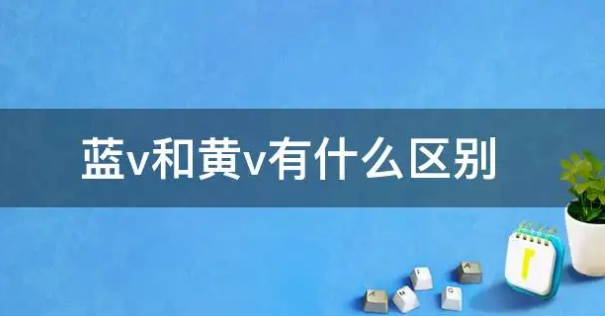 视频号蓝v认证后有什么功能？认证黄v蓝v哪个好？，视频号蓝V认证功能解析：黄V与蓝V认证的优劣对比,视频号蓝v认证后有什么功能,视频号认证黄v蓝v哪个好,视频号蓝v认证,视频号,视频号认证,第1张