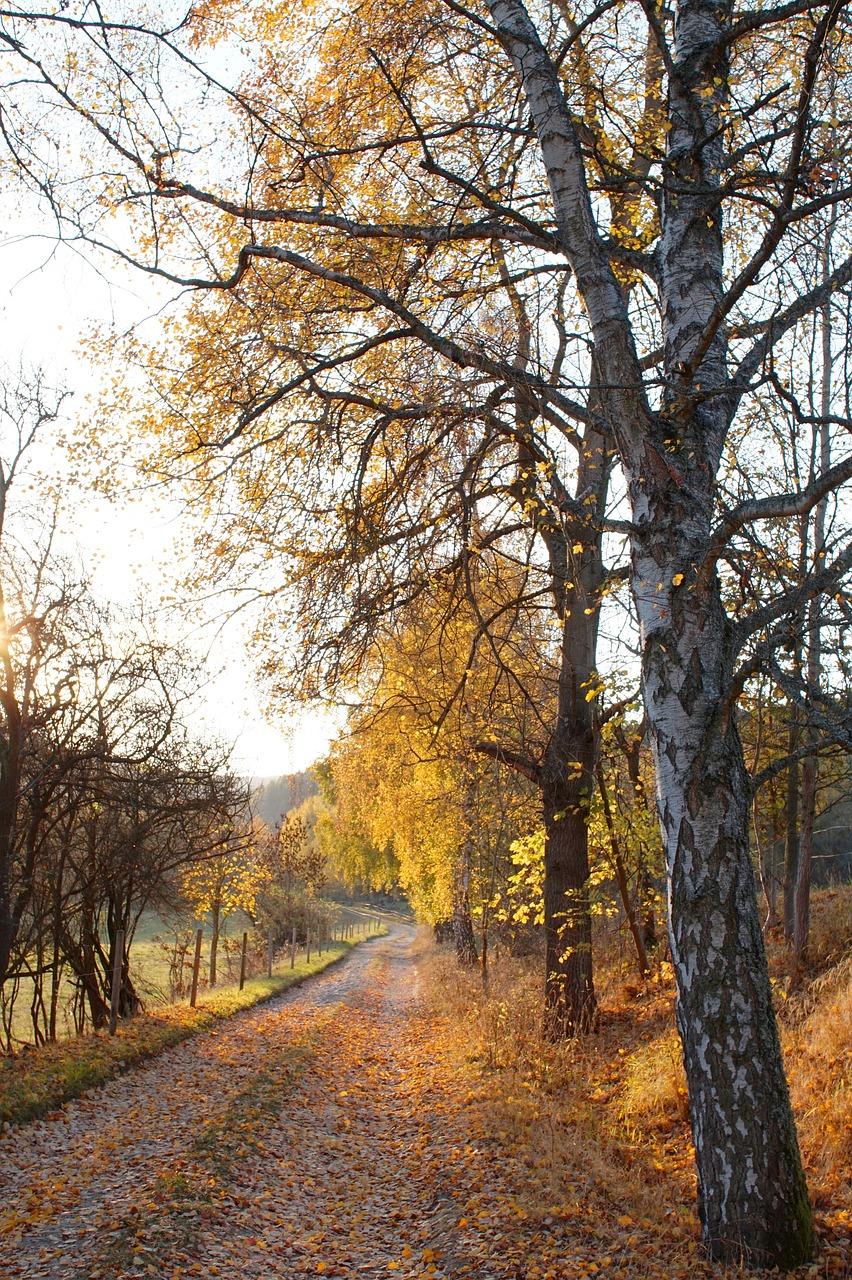 南京琥珀巷在哪里