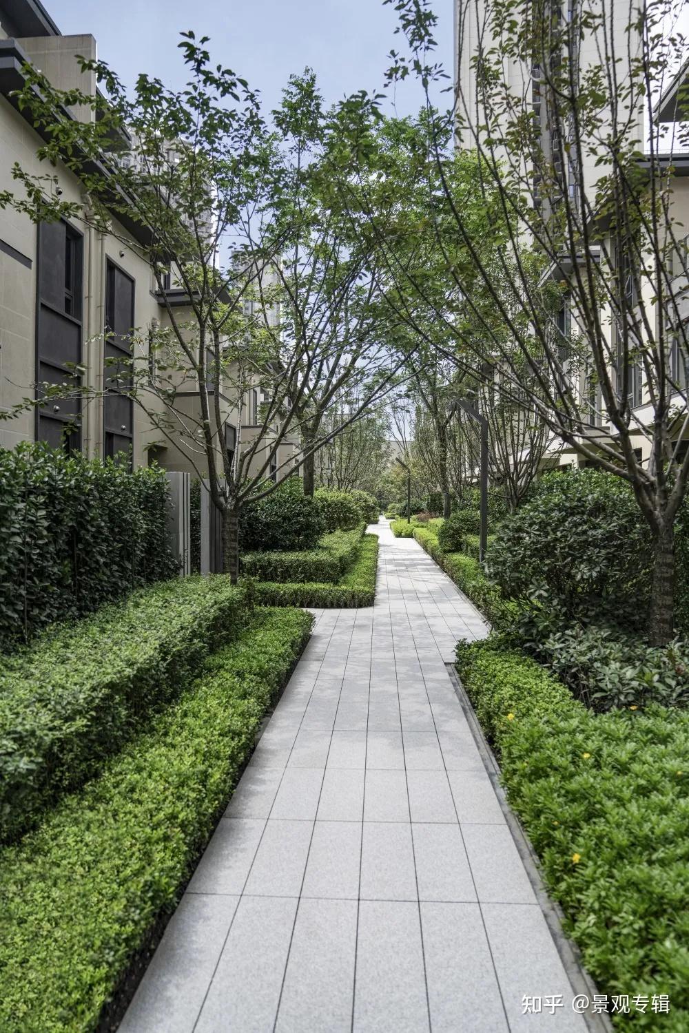 居住区景观 | 有宅花半垄,落日伴林息|中南·云樾 园区 - 知乎