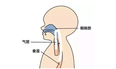 高薪月嫂致23天女婴呛奶死亡？给所有家长的救命预警 - 知乎